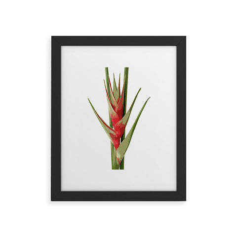 Deb Haugen Heliconia 2 Framed Art Print