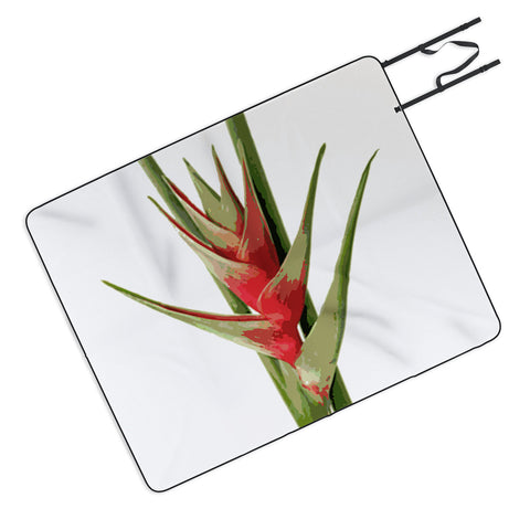 Deb Haugen Heliconia 2 Picnic Blanket