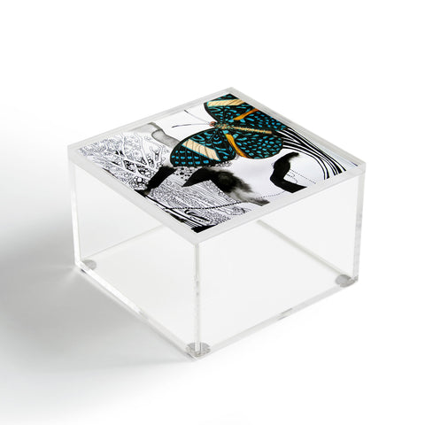 Deb Haugen Ink Black Butterfly Acrylic Box
