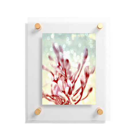 Deb Haugen Kailua Morning Floating Acrylic Print