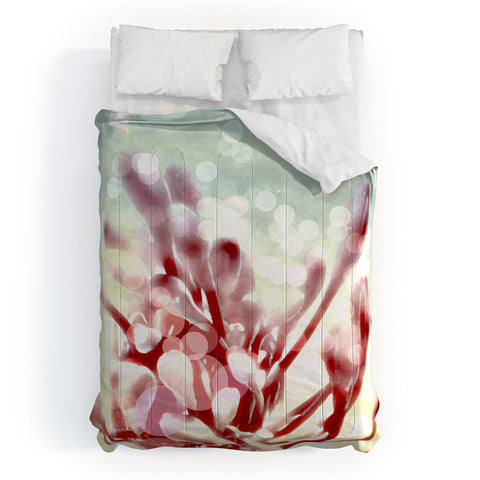 Deb Haugen Kailua Morning Comforter