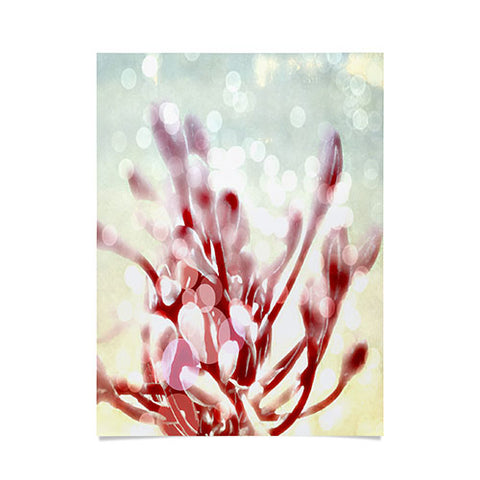 Deb Haugen Kailua Morning Poster