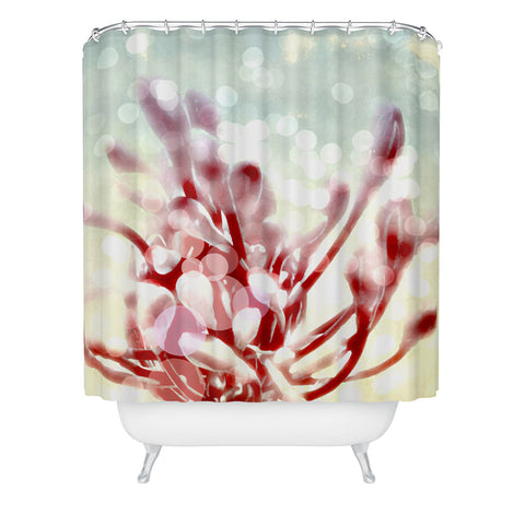 Deb Haugen Kailua Morning Shower Curtain