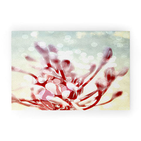 Deb Haugen Kailua Morning Welcome Mat