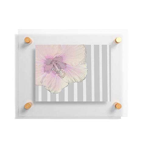 Deb Haugen kaneohe hibiscus Floating Acrylic Print