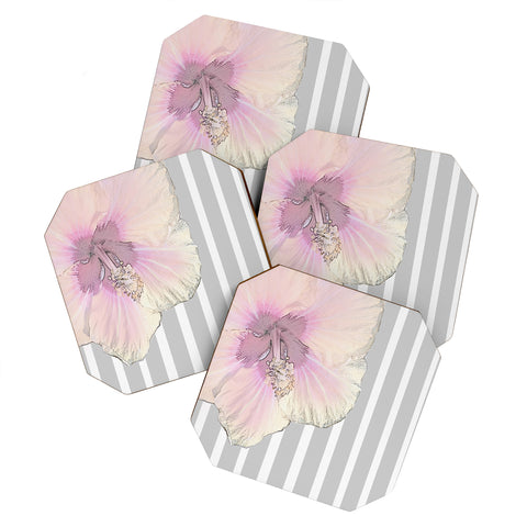 Deb Haugen kaneohe hibiscus Coaster Set
