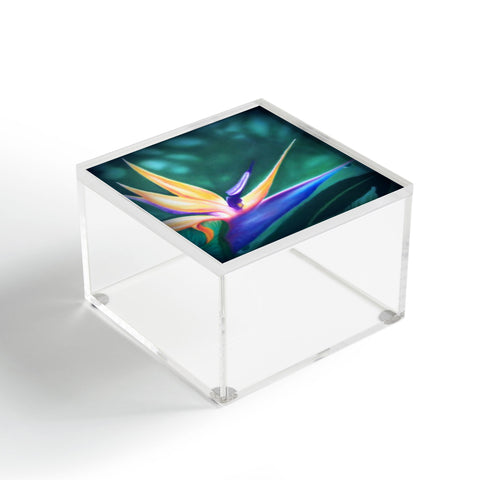 Deb Haugen Lanikai Lady Acrylic Box