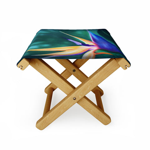 Deb Haugen Lanikai Lady Folding Stool