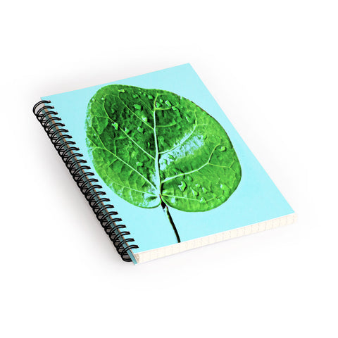 Deb Haugen Leaf Green Spiral Notebook
