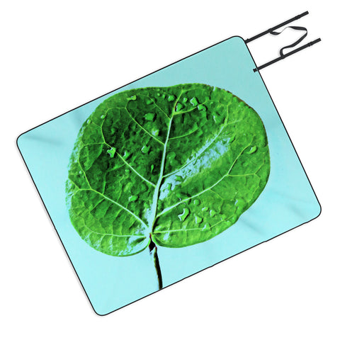 Deb Haugen Leaf Green Picnic Blanket