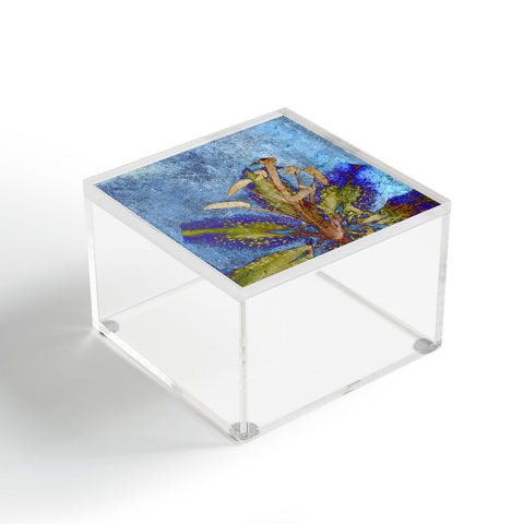 Deb Haugen Lily evening Acrylic Box