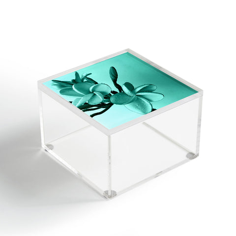 Deb Haugen Mint Plumeria Acrylic Box