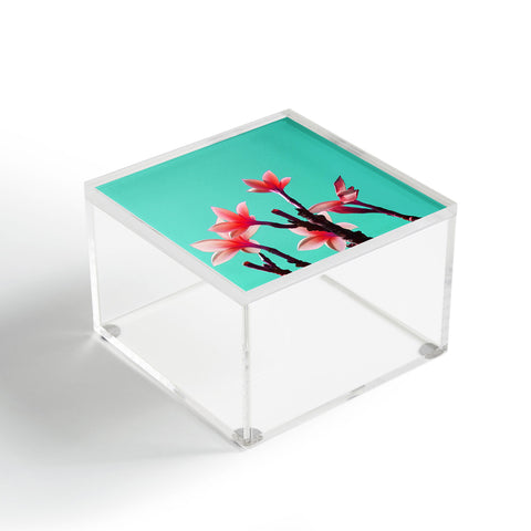 Deb Haugen North Shore Plumeria Acrylic Box