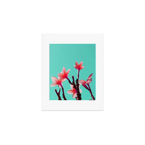 Deb Haugen North Shore Plumeria Art Print