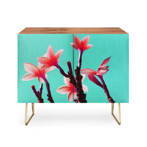 Deb Haugen North Shore Plumeria Credenza