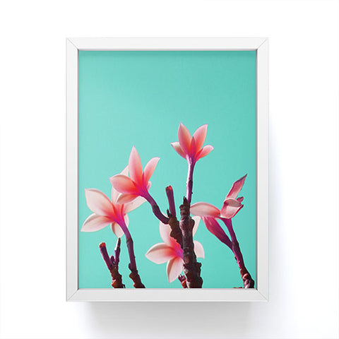 Deb Haugen North Shore Plumeria Framed Mini Art Print
