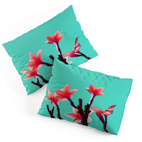 Deb Haugen North Shore Plumeria Pillow Shams