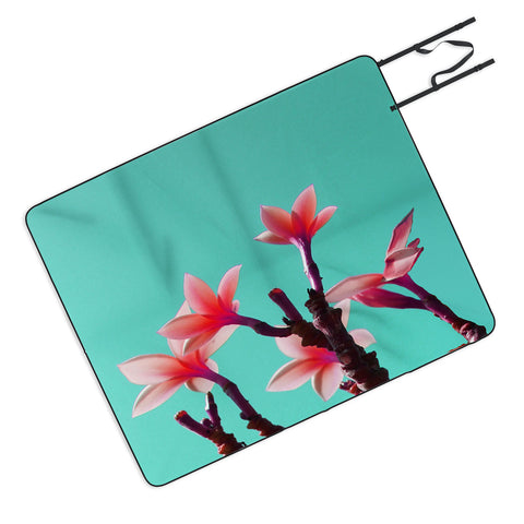 Deb Haugen North Shore Plumeria Picnic Blanket