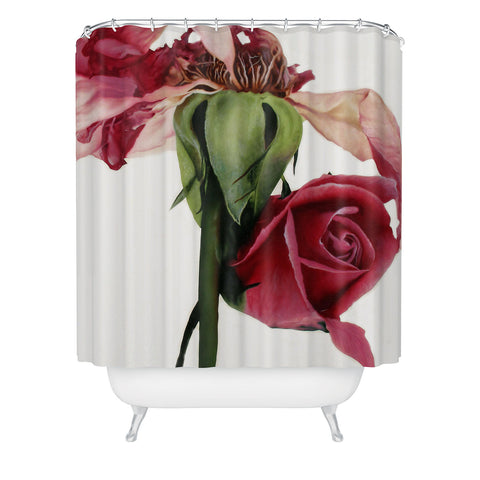 Deb Haugen old rose Shower Curtain
