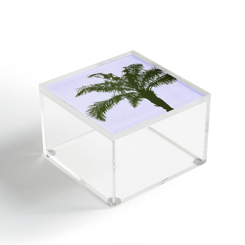 Deb Haugen Olive Palm Acrylic Box