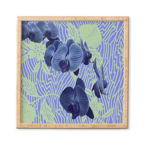 Deb Haugen Orchids Hauula Framed Wall Art