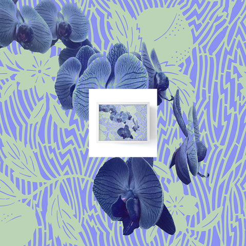 Deb Haugen Orchids Hauula Framed Mini Art Print