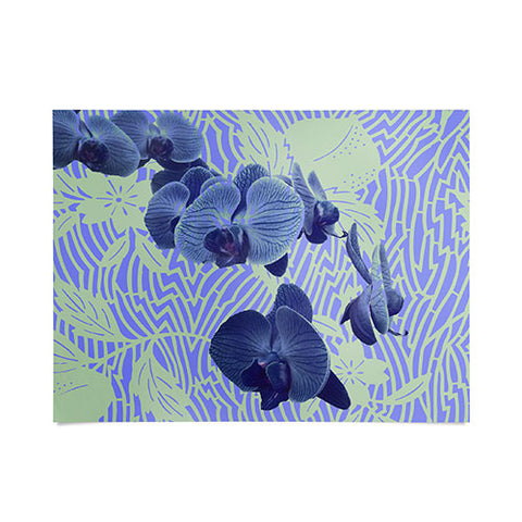 Deb Haugen Orchids Hauula Poster
