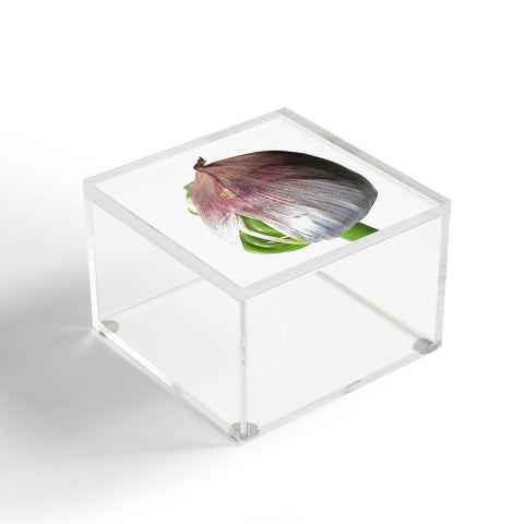 Deb Haugen Organika Acrylic Box