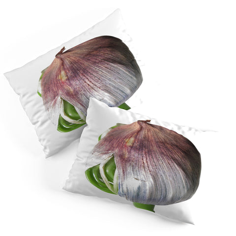 Deb Haugen Organika Pillow Shams