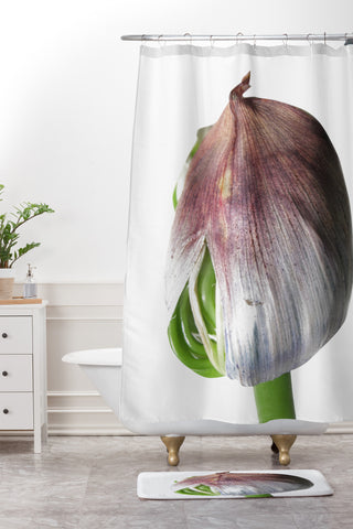 Deb Haugen Organika Shower Curtain And Mat