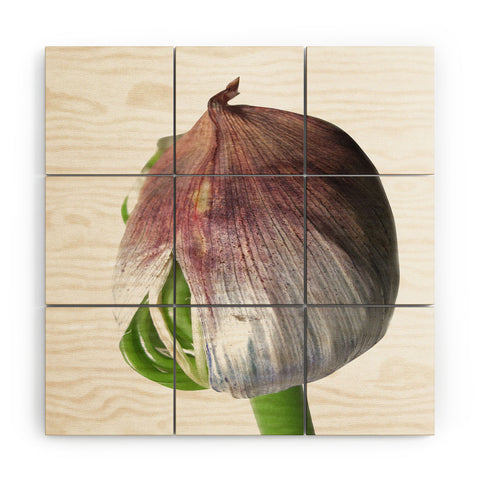 Deb Haugen Organika Wood Wall Mural