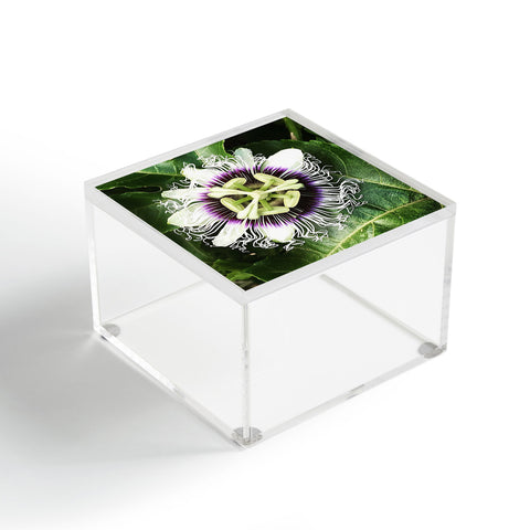 Deb Haugen Passion fruit Acrylic Box