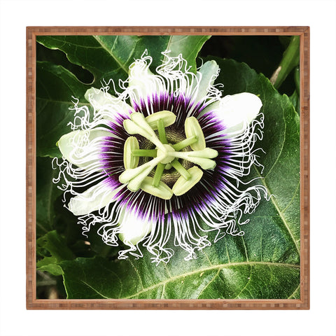 Deb Haugen Passion fruit Square Tray