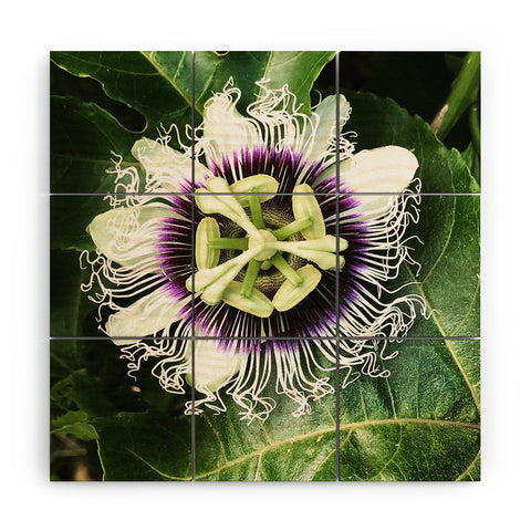 Deb Haugen Passion fruit Wood Wall Mural
