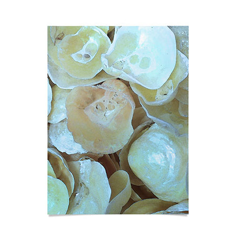 Deb Haugen Picking shells Poster
