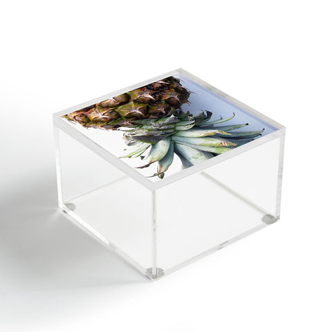 Deb Haugen Pineapple 2 Acrylic Box