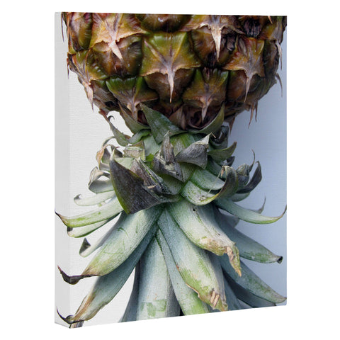 Deb Haugen Pineapple 2 Art Canvas