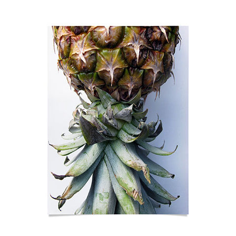 Deb Haugen Pineapple 2 Poster