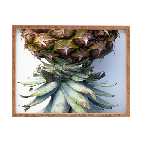Deb Haugen Pineapple 2 Rectangular Tray