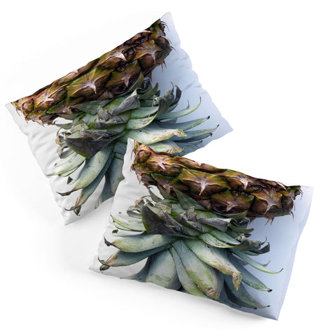 Deb Haugen Pineapple 2 Pillow Shams