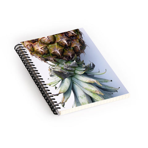 Deb Haugen Pineapple 2 Spiral Notebook