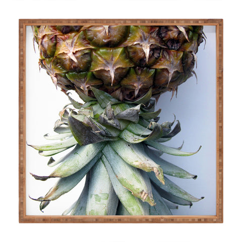 Deb Haugen Pineapple 2 Square Tray
