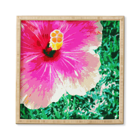 Deb Haugen Pink Hibiscus 2 Framed Wall Art