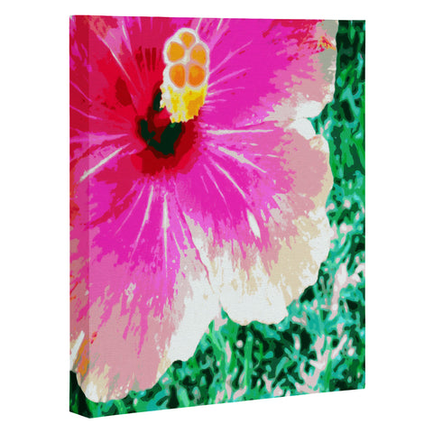 Deb Haugen Pink Hibiscus 2 Art Canvas