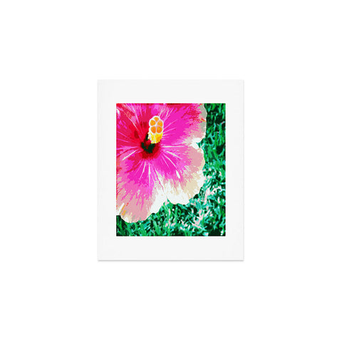 Deb Haugen Pink Hibiscus 2 Art Print
