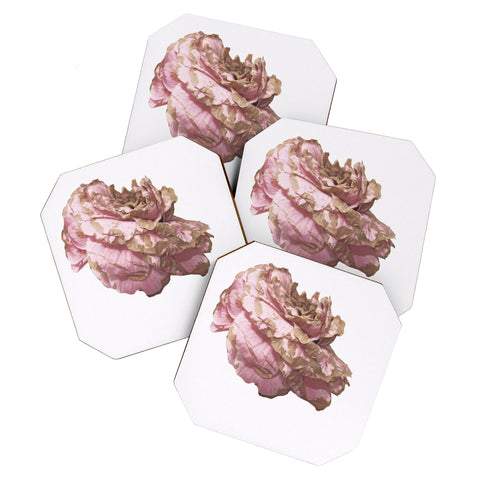 Deb Haugen pink love Coaster Set