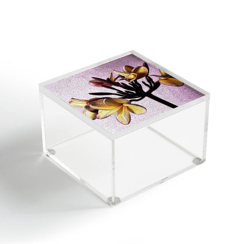 Deb Haugen Pink Plumeria Acrylic Box