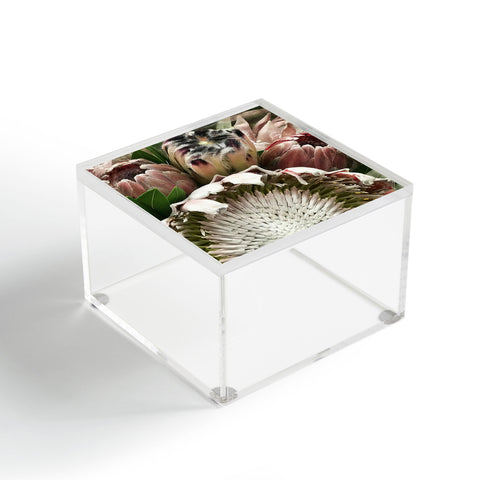 Deb Haugen Pink protea Acrylic Box