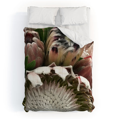 Deb Haugen Pink protea Comforter