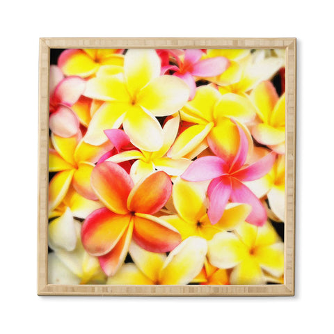 Deb Haugen Plumeria Dream Framed Wall Art
